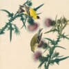 Audubon's Watercolors Pl. 33, American Goldfinch