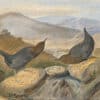 Audubon's Watercolors Pl. 370, American Dipper