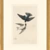 Audubon's Watercolors Octavo Pl. 100, Tree Swallow