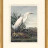 Audubon's Watercolors Octavo Pl. 242, Snowy Heron