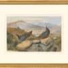 Audubon's Watercolors Octavo Pl. 370, American Dipper