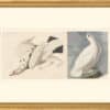 Audubon's Watercolors Octavo Pl. 418, Rock Ptarmigan, White-tailed Ptarmigan