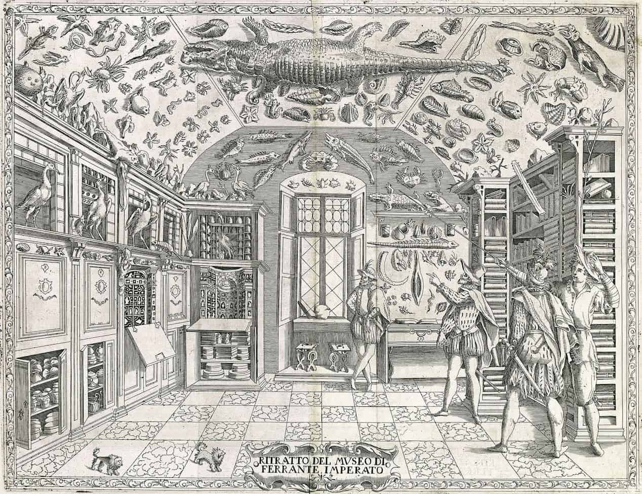 Ferrante Imperato, Dell'Historia Naturale (1599), the earliest illustration of a natural history cabinet