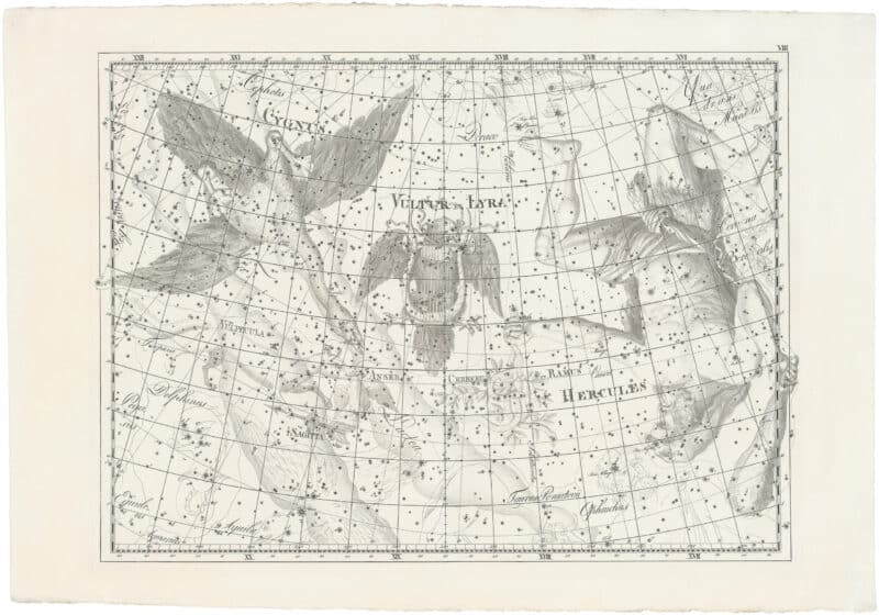 Bode Pl. 8, Cygnus; Vultur et Lyra; Sagitta; Hercules