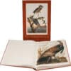 Book - Birds of America - The Bien Chromolithographic Edition - Joel Oppenheimer