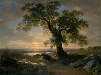 Asher Brown Durand - The Solitary Oak (The Old Oak)