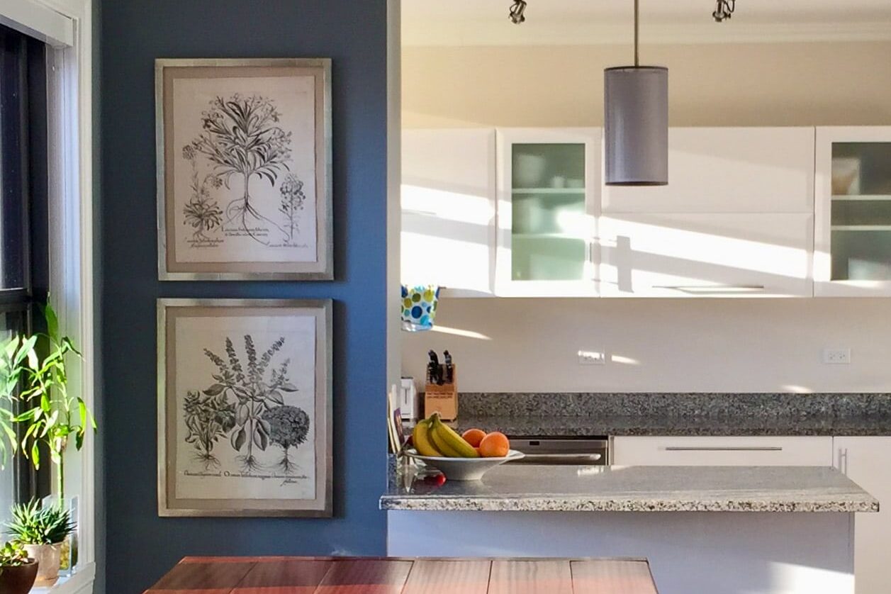 400 Year Old Besler Engravings in Contemporary Frames