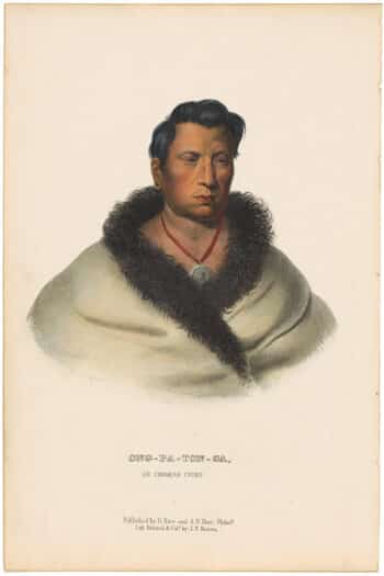 McKenney & Hall Octavo Pl. 31, Ong-pa-ton-ca or The Big Elk; Chief of the Omahas