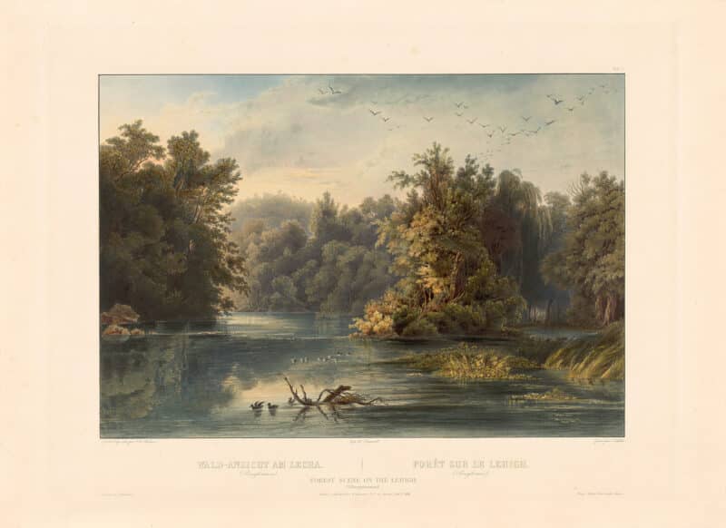 Bodmer Pl. 1, Forest Scene on the Lehigh (Pennsylvania)