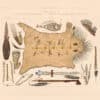 Bodmer Pl. 21, Indian Utensils and Arms