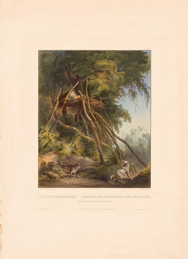 Bodmer Pl. 30, Tombs of the Assiniboin Indians on Trees