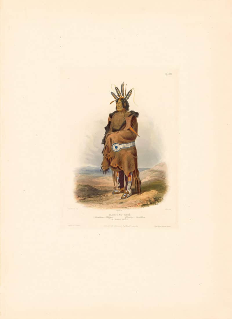 Bodmer Vig. 27, Pachtéwa-Chté, An Arrikkara Warrior