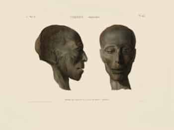 Description de l'égypte (Description of Egypt)  Pl. 49, Profile and Face of the Head of a Male Mummy