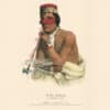 McKenney and Hall Pl. 29, Wa-em-boesh-kaa, A Chippeway Chief