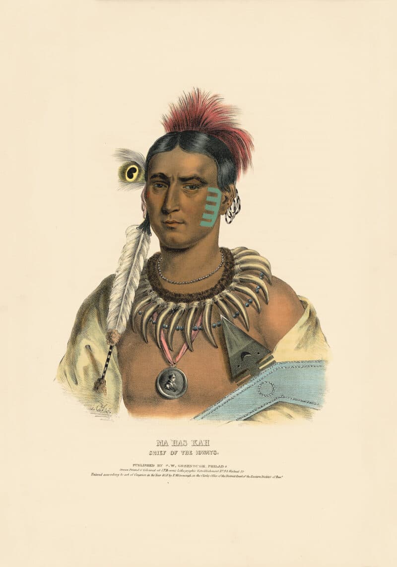 McKenney and Hall Pl. 32, Ma-has-kah, Chief of the Ioways