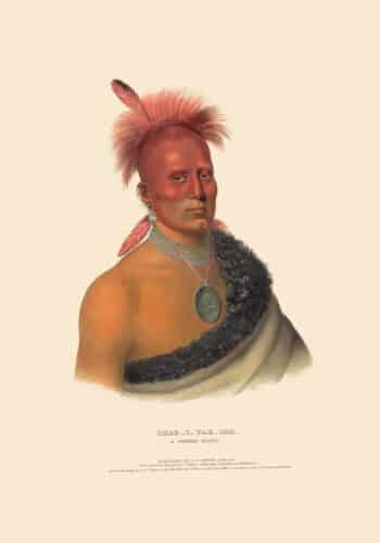 McKenney and Hall Pl. 77, Shar-i-tar-ish, A Pawnee Chief