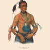McKenney and Hall Pl. 80, Hoo-wan-ne-ka, A Winnebago Chief