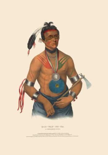 McKenney and Hall Pl. 80, Hoo-wan-ne-ka, A Winnebago Chief
