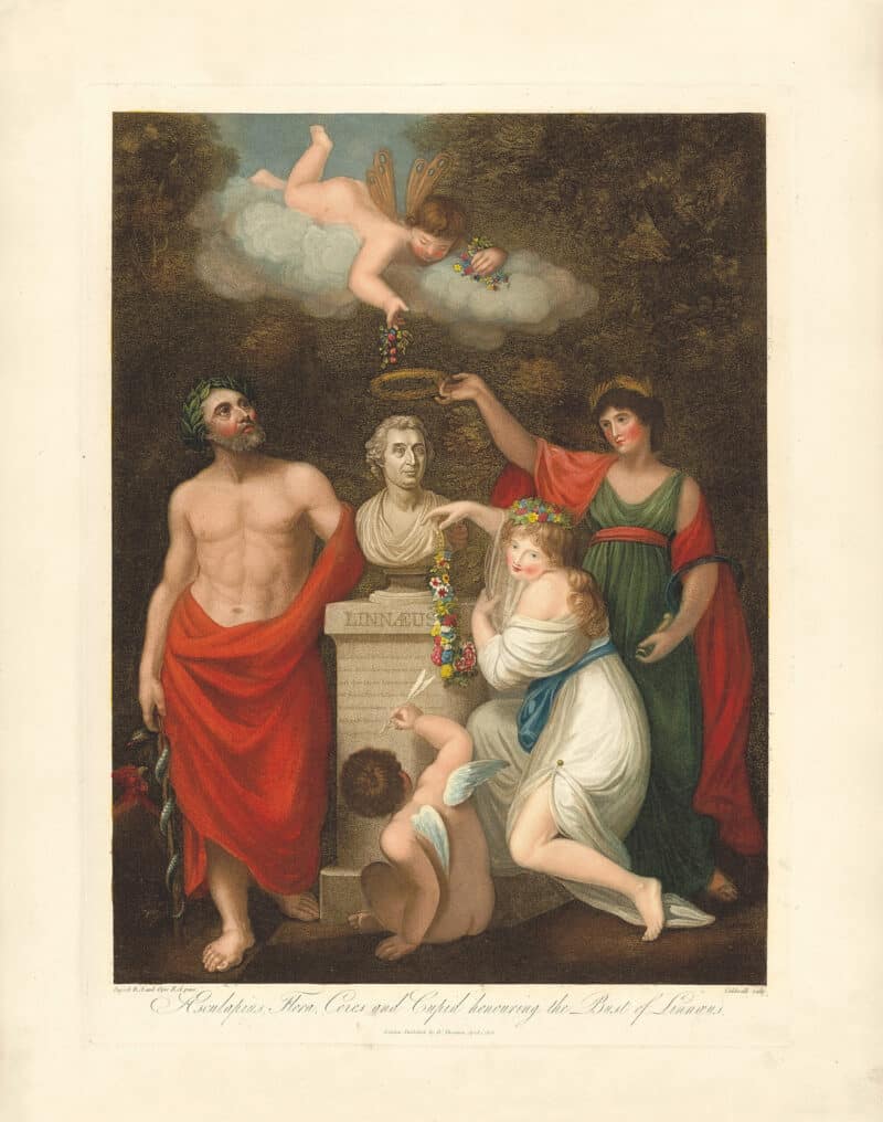 Thornton Pl. 1, Aesculapius, Flora, Ceres and Cupid honouring the Bust of Linnaeus