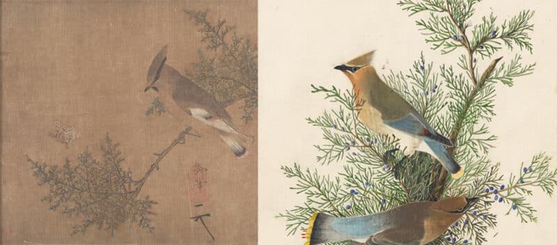 East Asian Influence in Audubon's Art cover