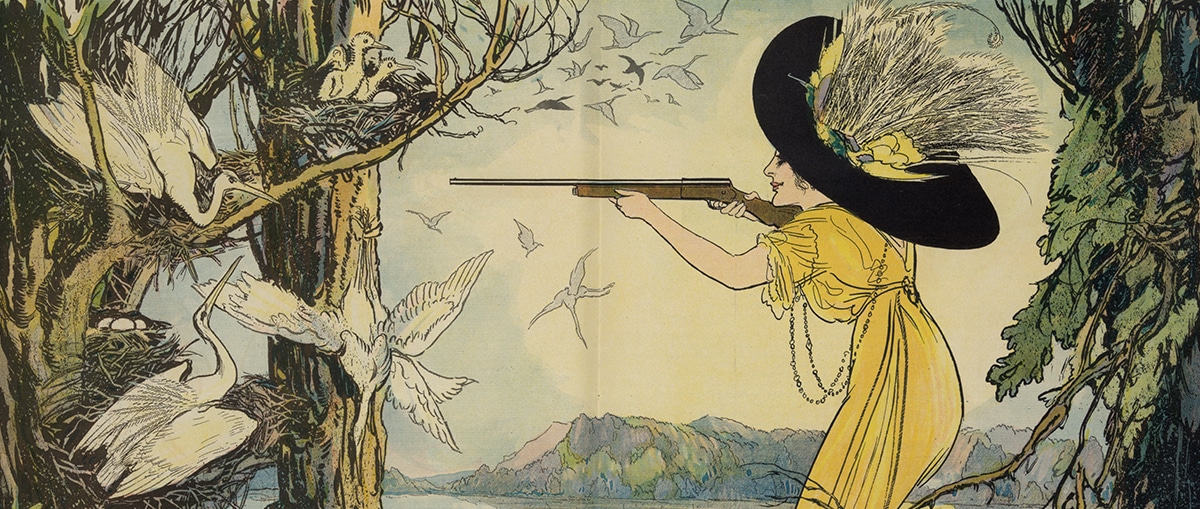 In a satirical cartoon for Puck magazine, a woman wearing a plume bedecked hat aims a gun at a rookery of snowy herons.