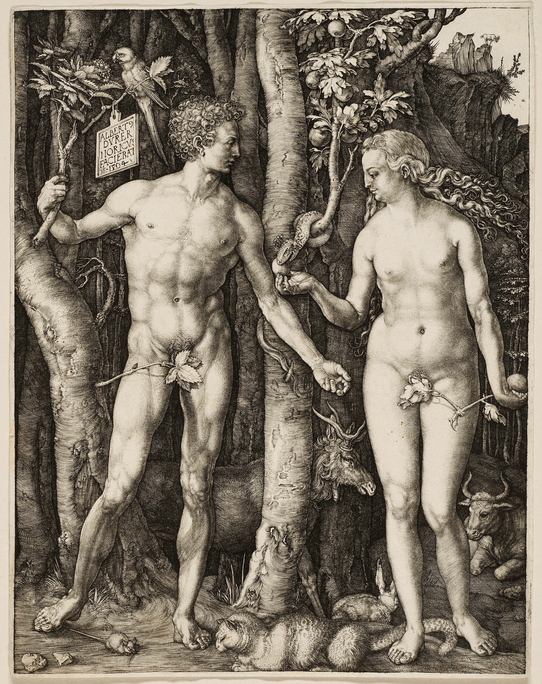 Adam and Eve by Albrecht Dürer, 1504
