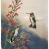 George Sutton Watercolor - Ruby-throated Hummingbird