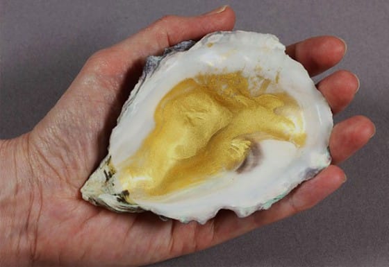 Gold pigment was sometimes stored in oyster shells