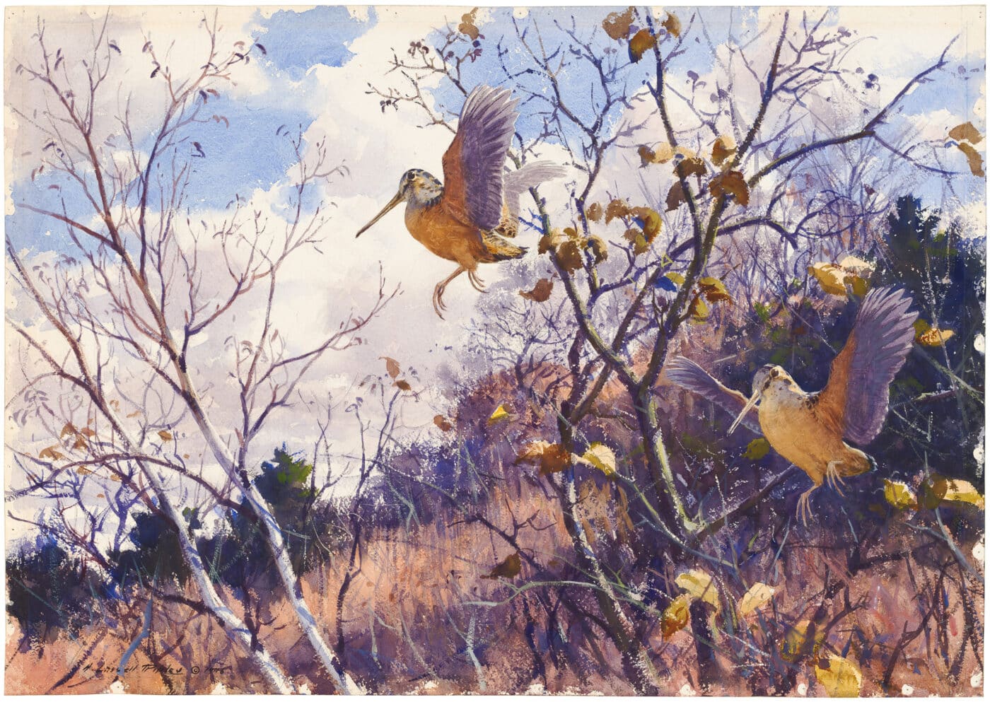 Aiden Lassell Ripley Original Watercolor - Pair of Woodcocks