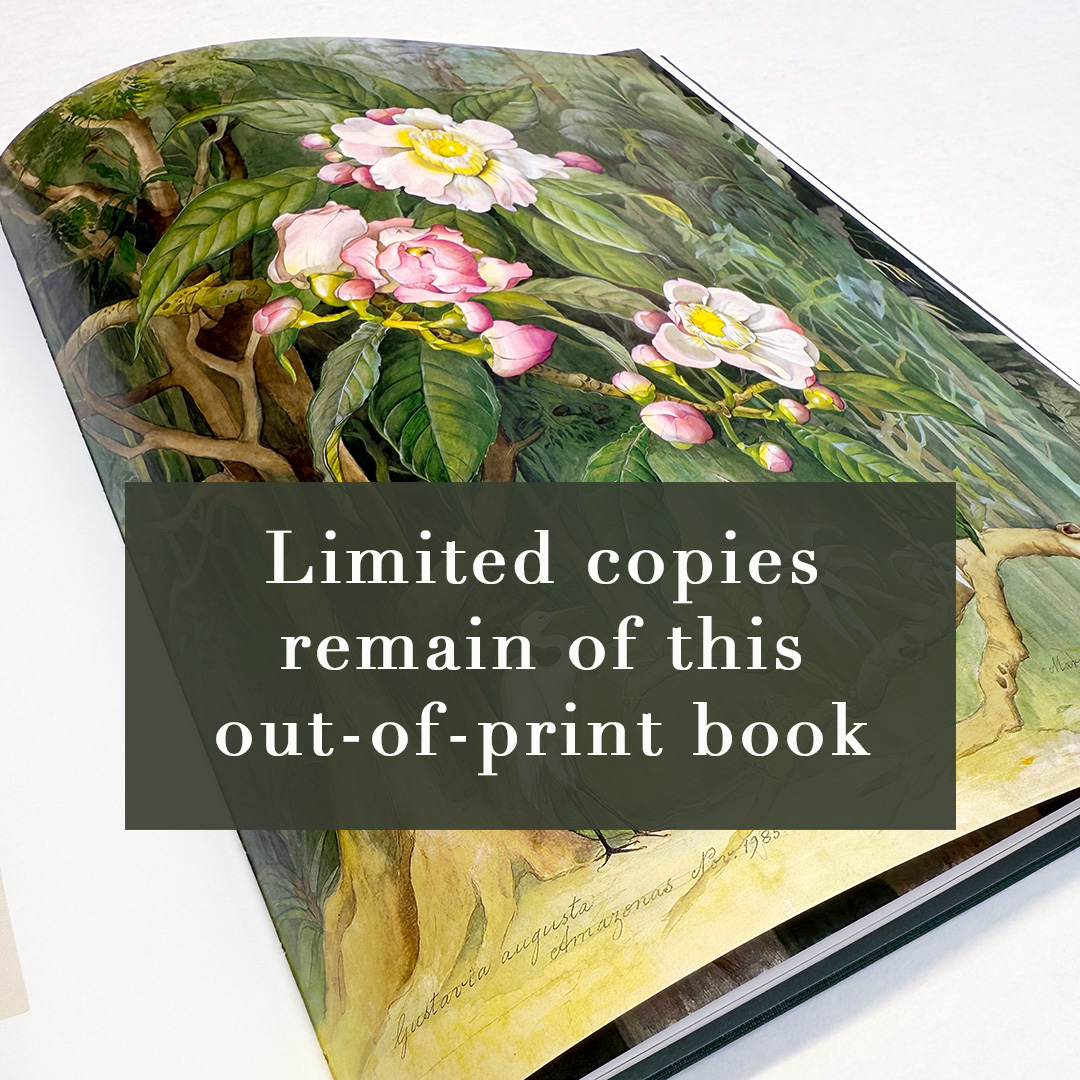 The Flowering Amazon, Margaret Mee Paintings from the Royal