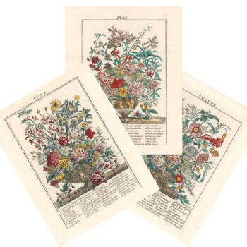 Furber - Flower Garden Display'd - Summer Bundle